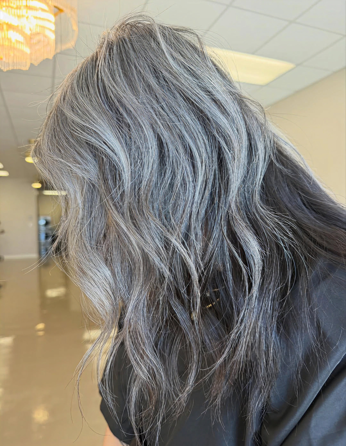 Silver highlights color result at Mane Society